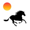 DarkHorse: Flashcard Maker icon