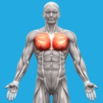 Download Muscle System Anatomy app