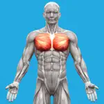 Muscle System Anatomy App Contact