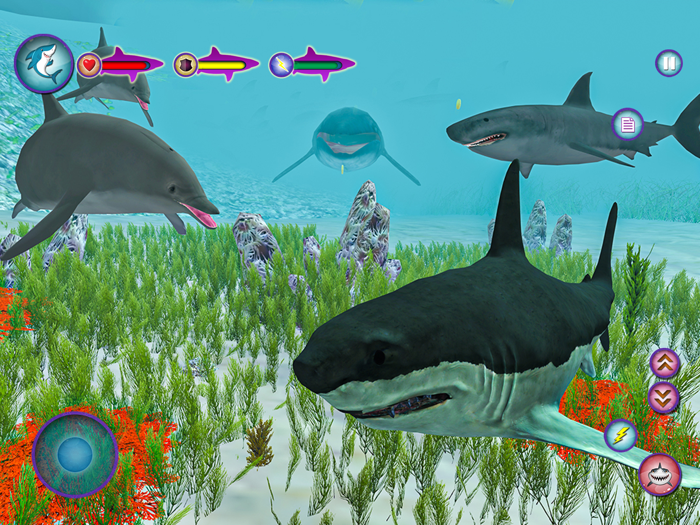 Megalodon Shark Fish Attack