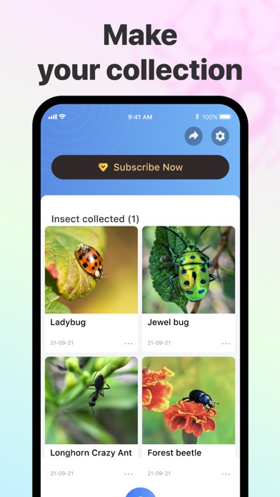 Picture Insect: Spiders & Bugs Screenshot