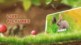 Game screenshot Learning animals and sounds hack