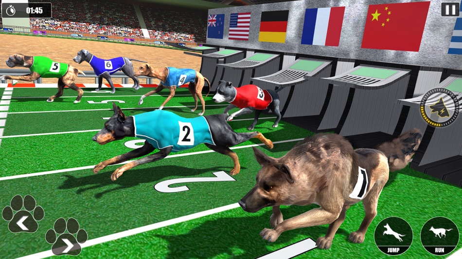 Dog Racing Championship Game - 1.0 - (iOS)