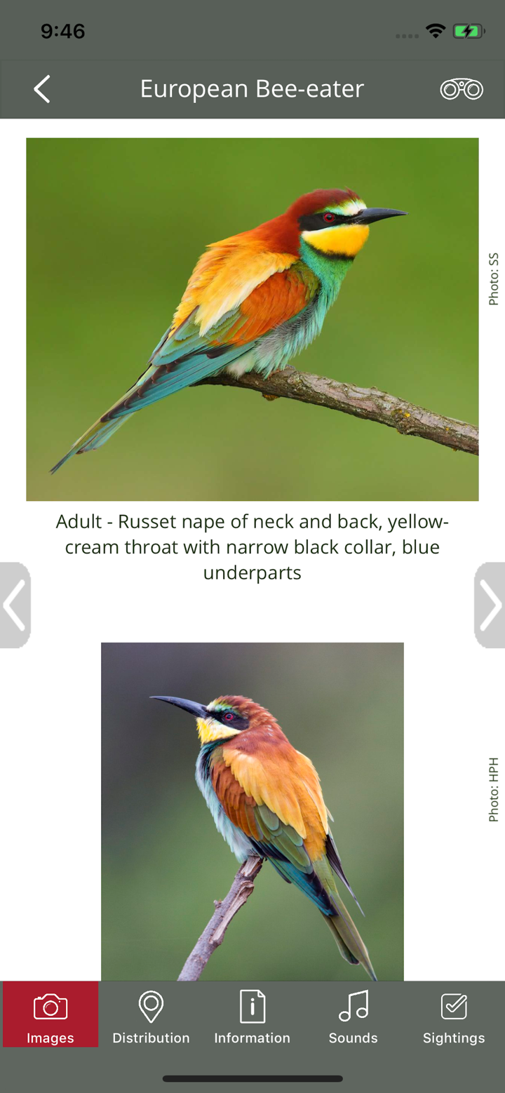 BirdPro screenshot 3