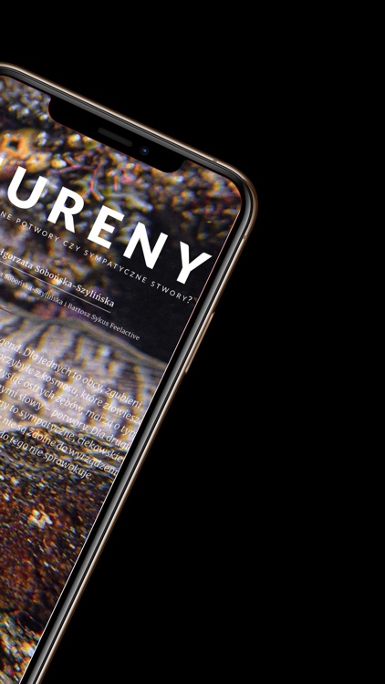 Divers24 screenshot-4