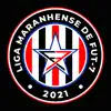 Liga Maranhense Fut-7 delete, cancel