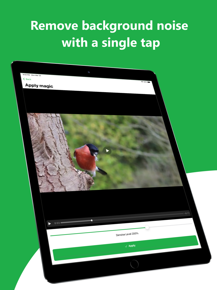 ByeNoise - Video Audio Editor