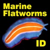 Marine Flatworms ID - iPhoneアプリ