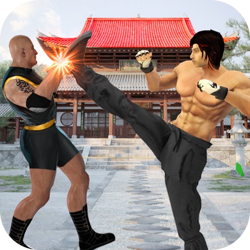 Real Superheroes Kung fu fight