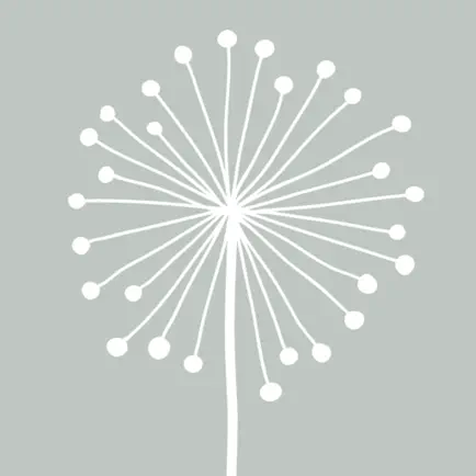 DandyLight - Photography App Cheats