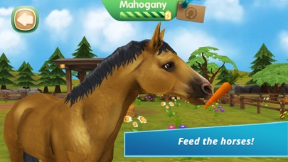 HorseHotel Premium Screenshot