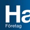 Icon Handelsbanken SE – Företag