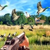 Sniper Birds Hunting 3D icon