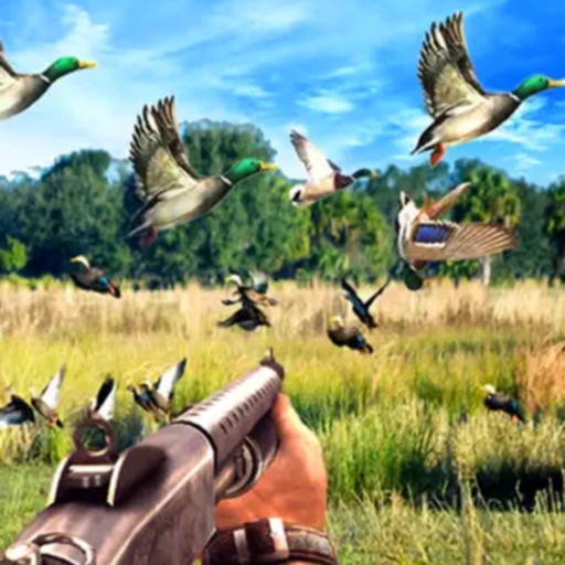 Sniper Birds Hunting 3D Icon