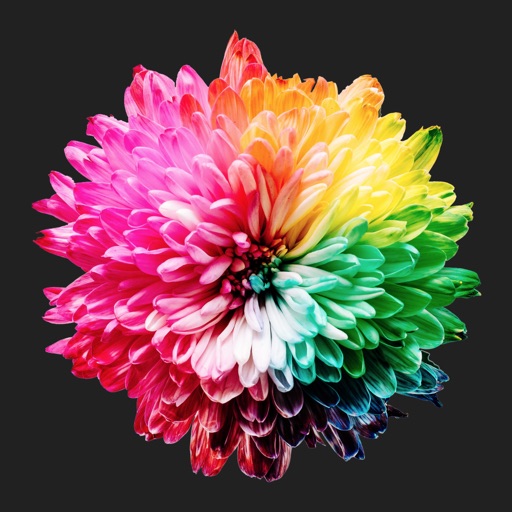 Reminders • Habits • Tasks Download