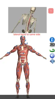 visual anatomy lite problems & solutions and troubleshooting guide - 4