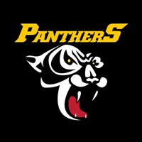 Ringerike Panthers