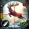 Wild Deer Hunt Games
