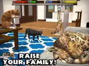 ultimate cat simulator ipad capturas de pantalla 3