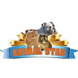Animal Star app icon