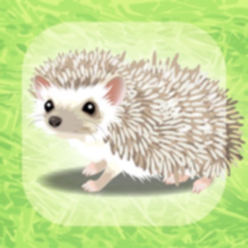 Virtual Therapeutic Hedgehog Pet