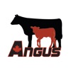 Canadian Angus Calving Book