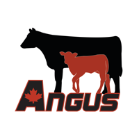 Canadian Angus Calving Book