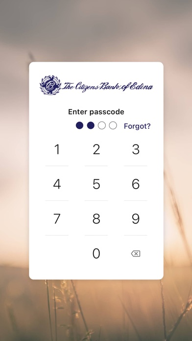 Citizens Bank of Edina Screenshot