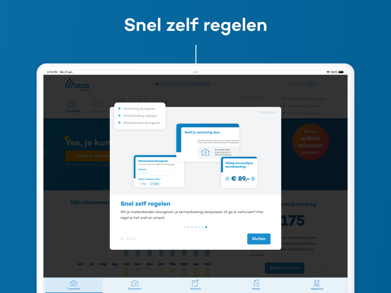 DELTA Energie iPad app afbeelding 4