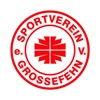 SV Grossefehn icon