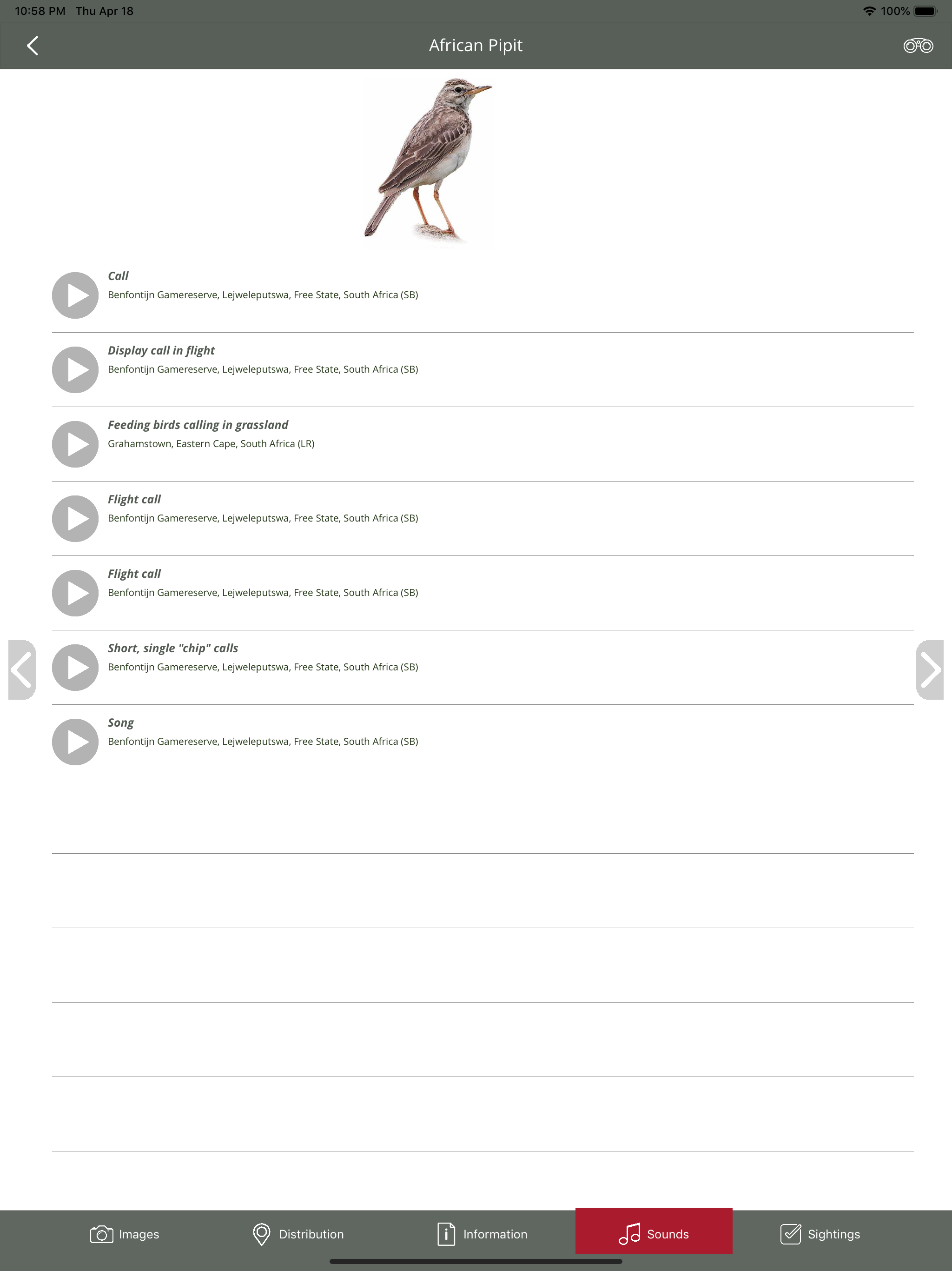 BirdPro