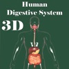 3D Human Digestive System icon