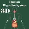 3D Human Digestive System