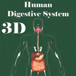 3D Human Digestive System App Alternatives