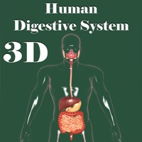 3D Human Digestive System logo