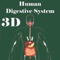 3D Human Digestive System app download
