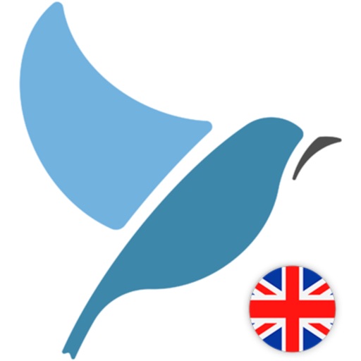 Bluebird: English British