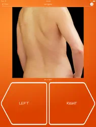 Recognise Back ipad bilder 1