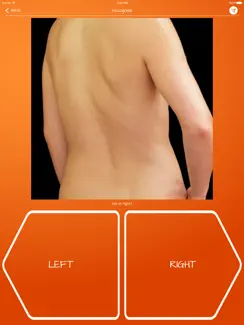 Recognise Back iPad image 2