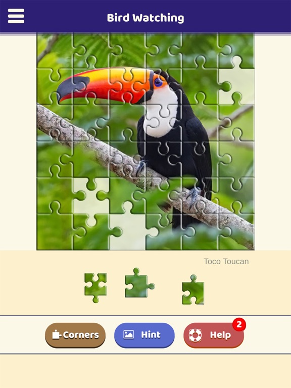 Bird Watching Puzzle screenshot 4