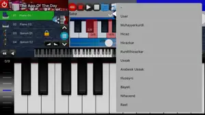 Portable ORG screenshot 3