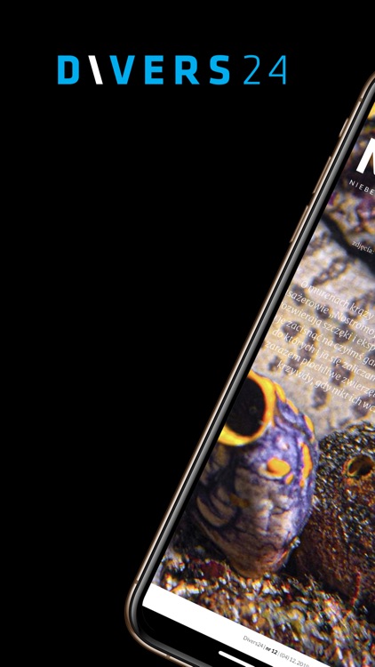 Divers24 screenshot-3