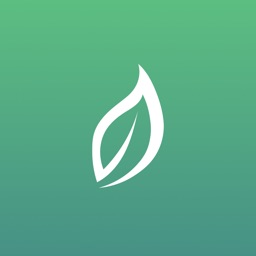 Lending Tree: Payment Tracking