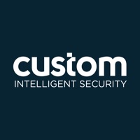 Custom Intelligent Security logo