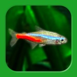 Download Tropical Fish Tank - Mini Aqua app