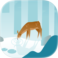 Wildfulness: Meditate & Relax