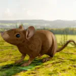 Mouse Simulator- Family Life App Contact