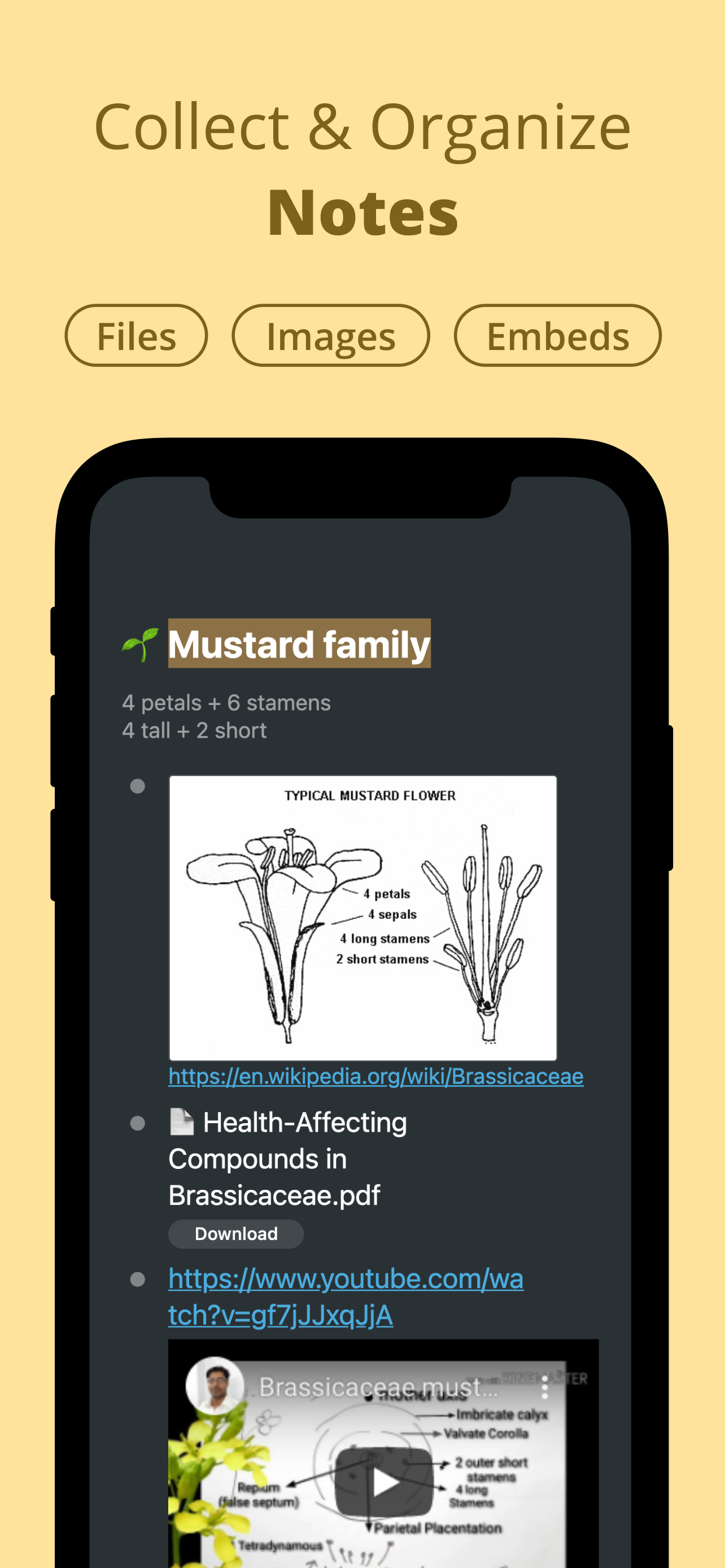 WorkFlowy: Note, List, Outline