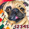 Paint By Number : Pixel Art - iPhoneアプリ