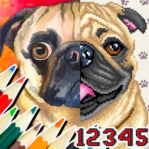 Paint By Number : Pixel Art iOS App